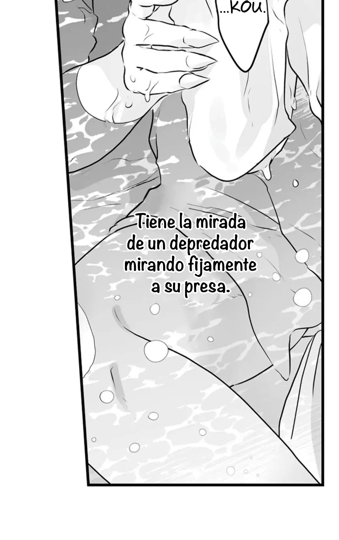 Mori no Kuma-san, Toumin-chuu - Capítulo 72 manhwa