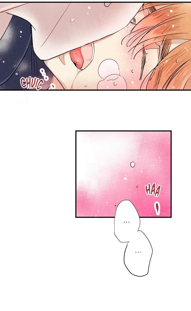 Un Amor digno de Fama - Capítulo 71 2 manhwa