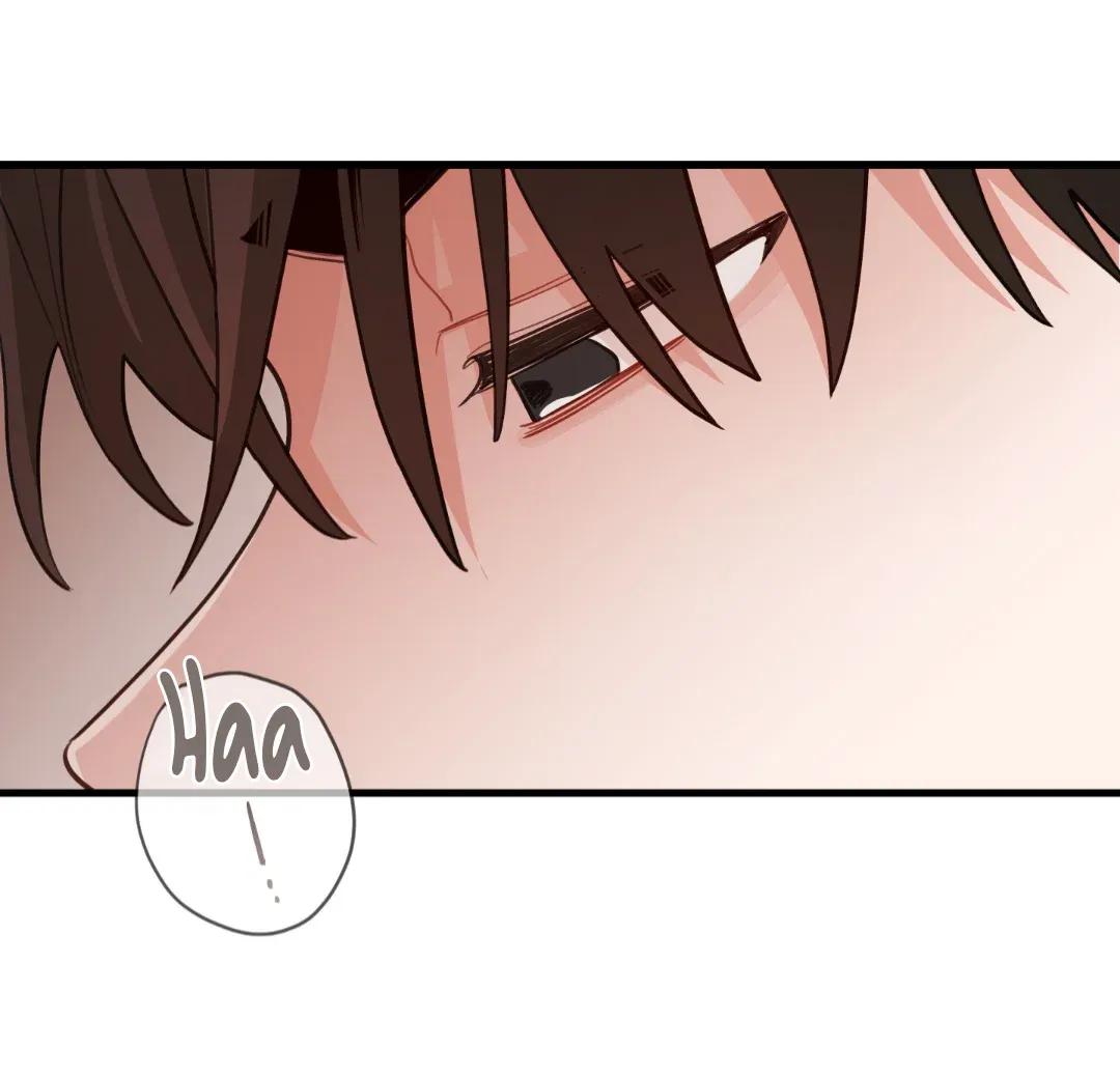 Pear Blossom Love - Capítulo 82 3 manhwa