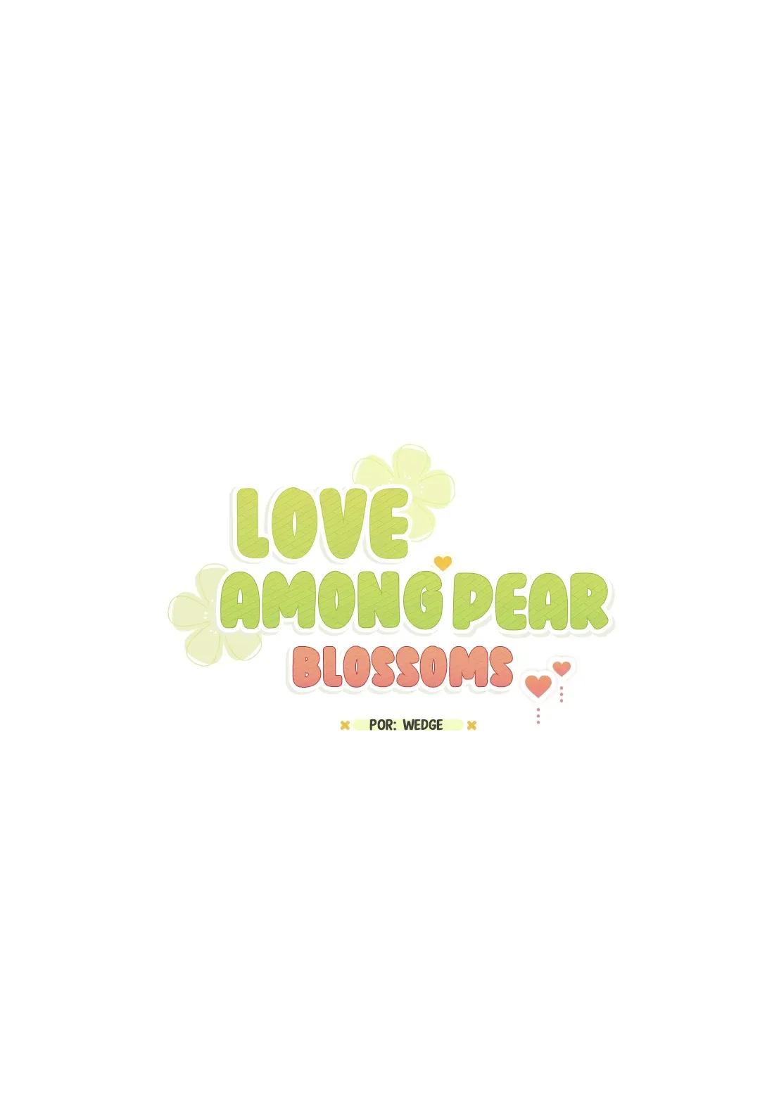 Pear Blossom Love - Capítulo 85 manhwa