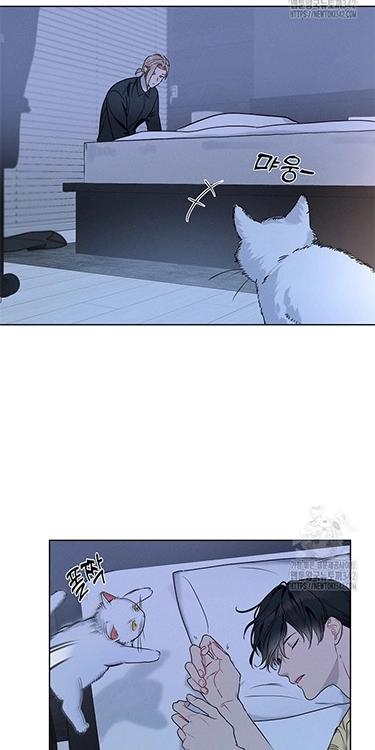 Reportando a mi jefe - Capítulo 27 3 manhwa