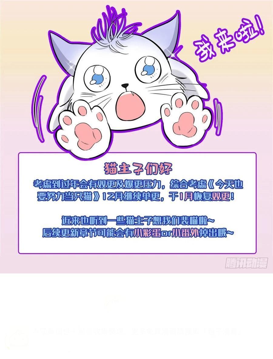 Tengo que trabajar duro para ser un gato hoy! - Capítulo 63 3 manhwa
