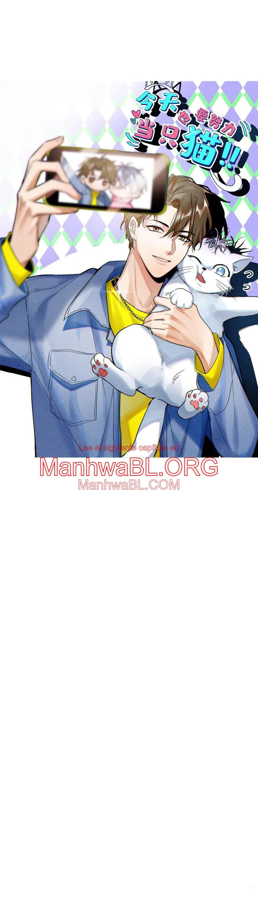 Tengo que trabajar duro para ser un gato hoy! - Capítulo 64 manhwa