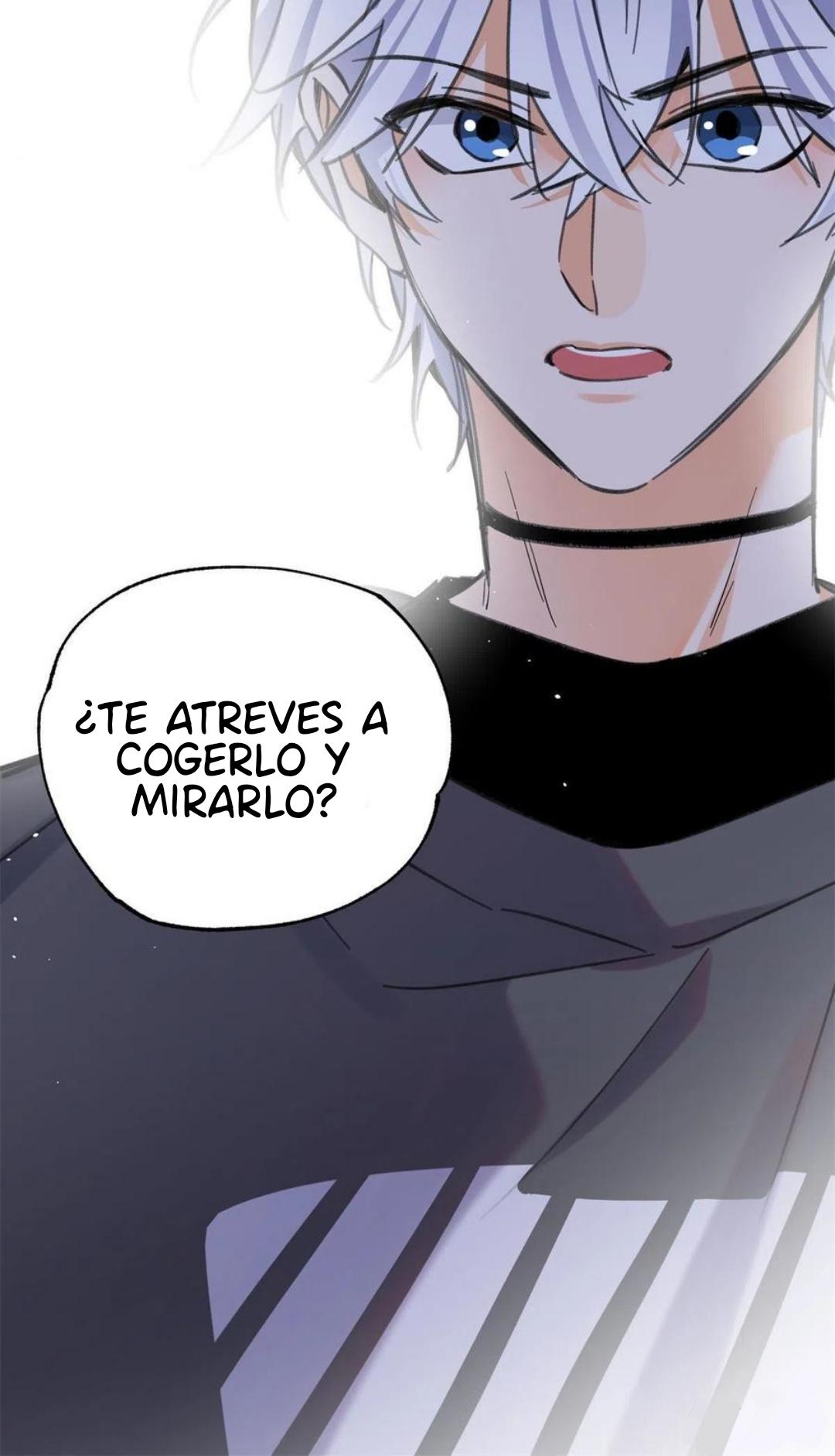 Tengo que trabajar duro para ser un gato hoy! - Capítulo 66 2 manhwa