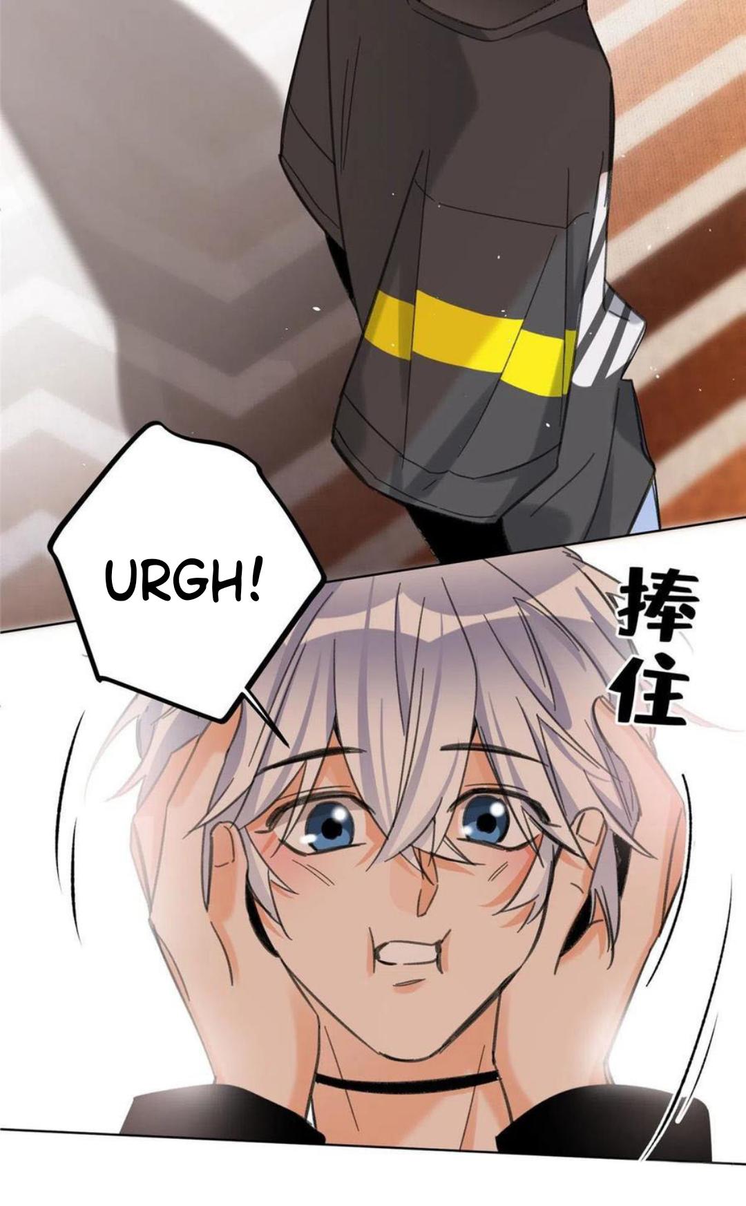 Tengo que trabajar duro para ser un gato hoy! - Capítulo 65 3 manhwa