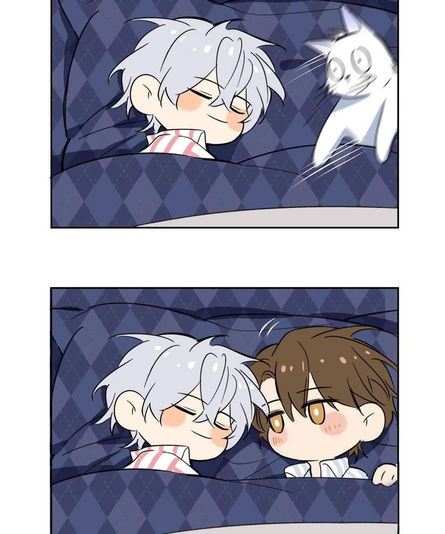 Tengo que trabajar duro para ser un gato hoy! - Capítulo 65 3 manhwa