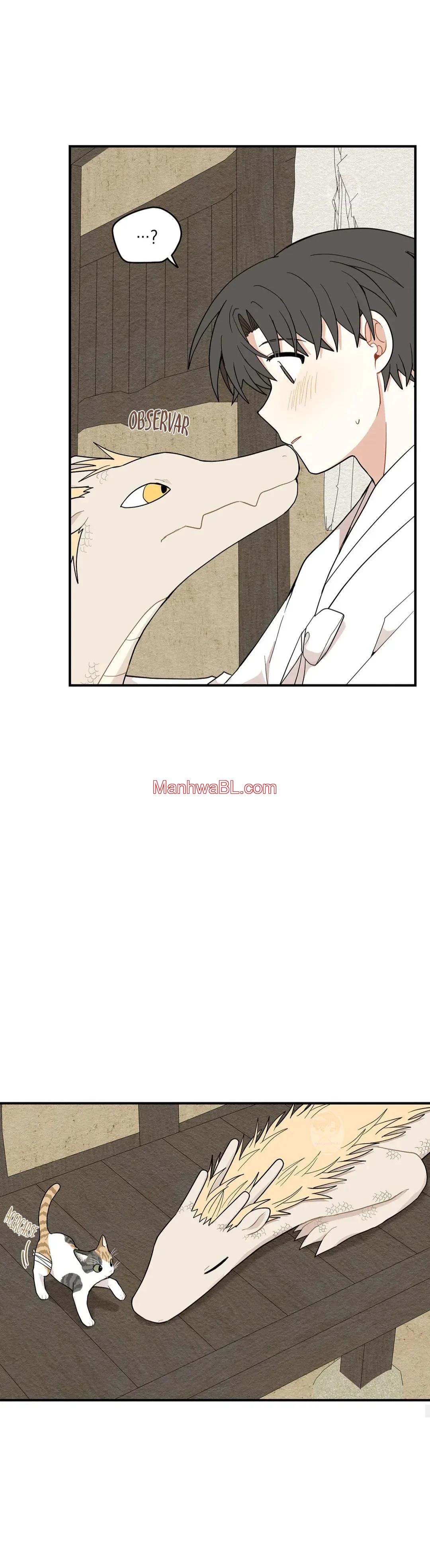 El camino donde cayó la forsitia - Capítulo 56 3 manhwa