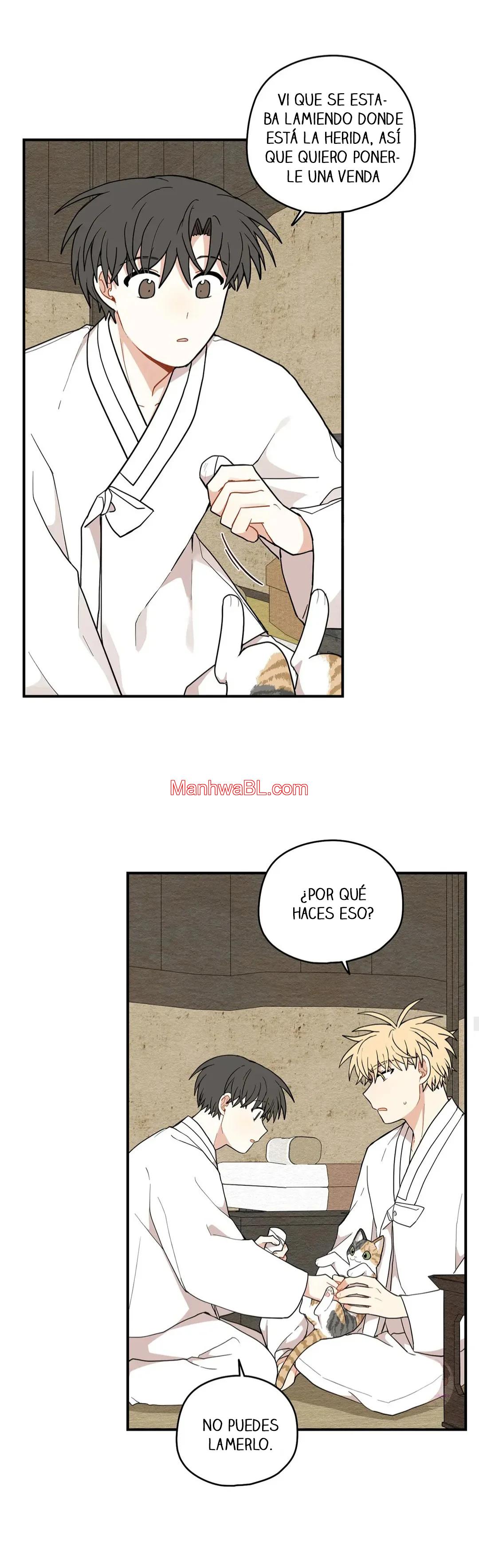 El camino donde cayó la forsitia - Capítulo 56 manhwa