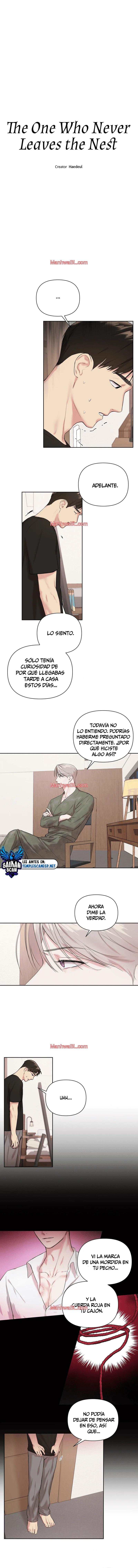 El que nunca deja el nido - Capítulo 4 manhwa