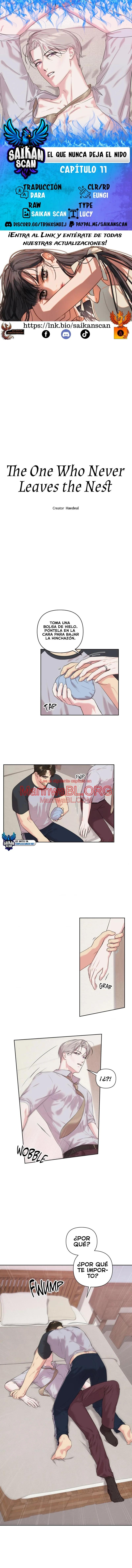 El que nunca deja el nido - Capítulo 11 manhwa