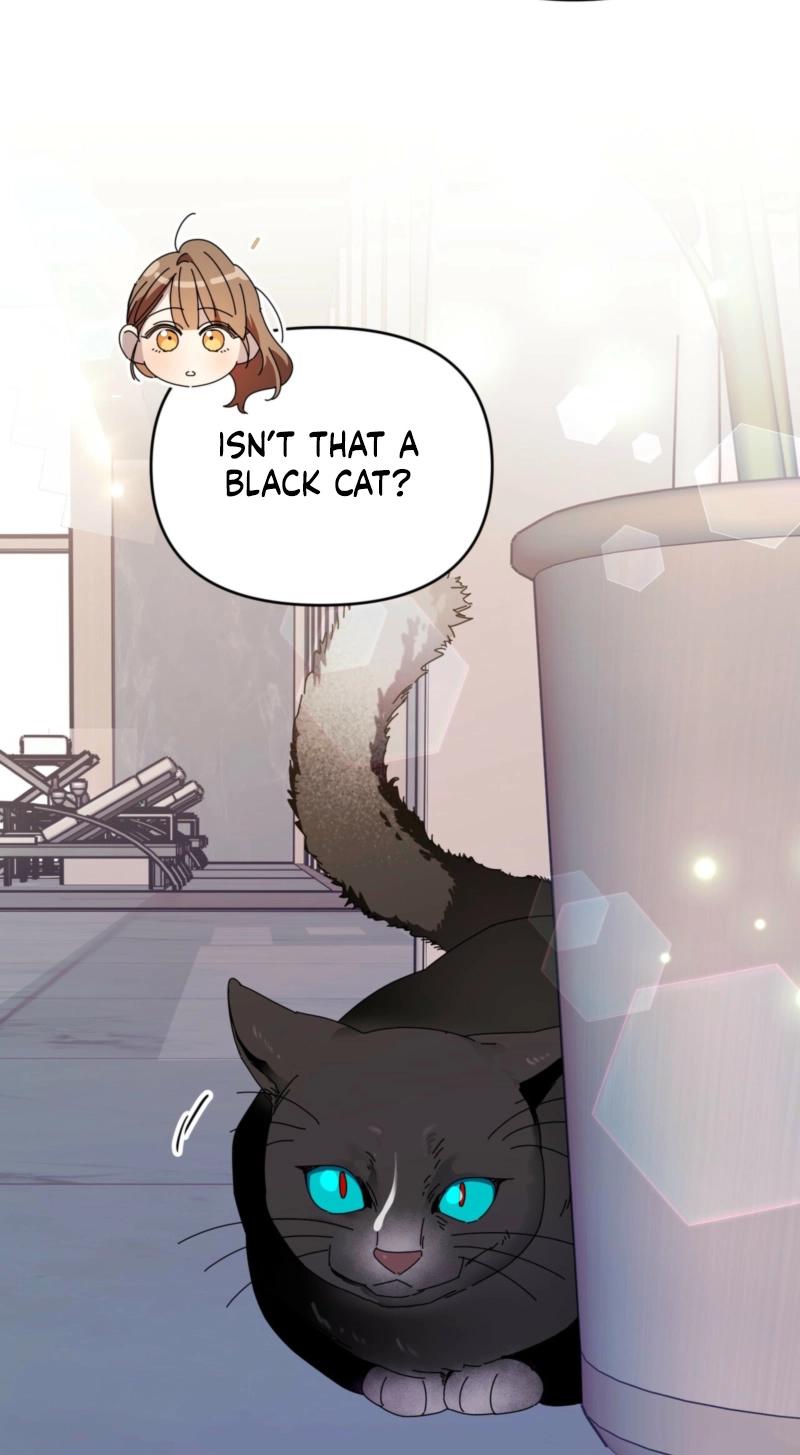 How about cosmic horror [ENG] - Capítulo 3 manhwa