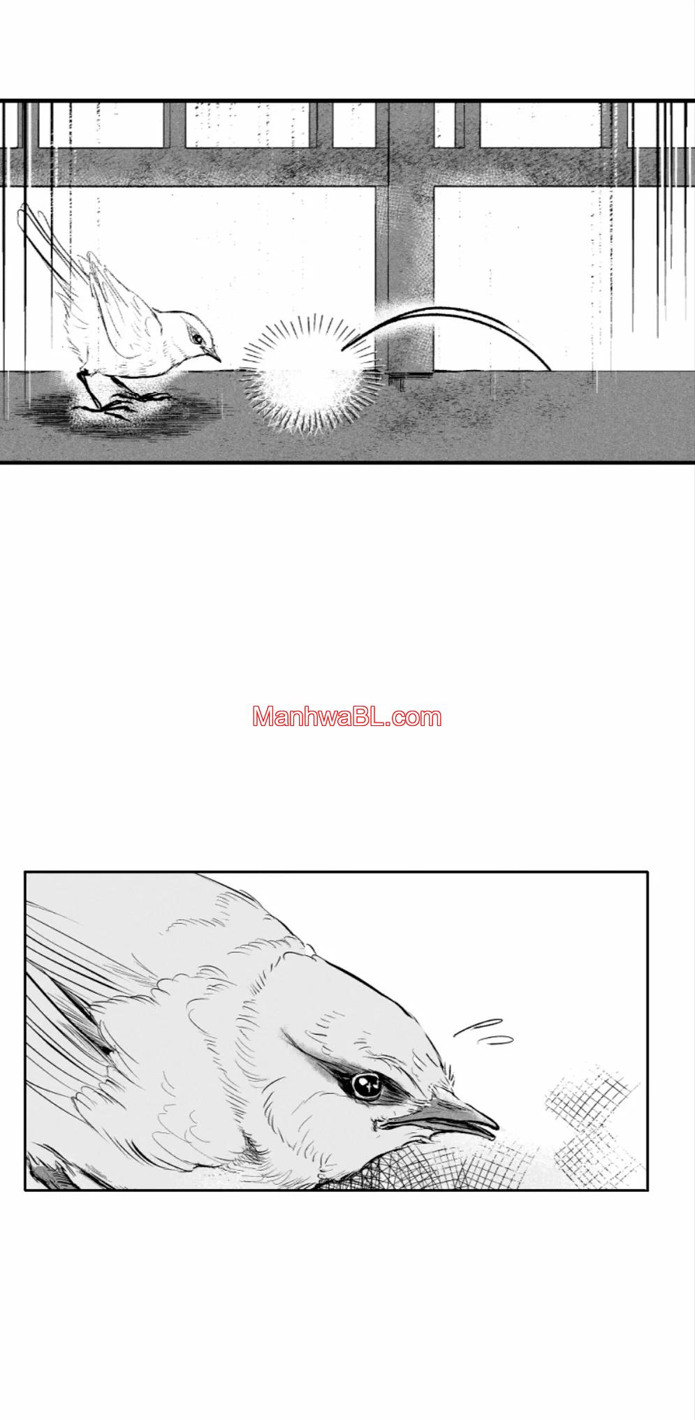 Bad Luck Angel - Capítulo 0.2 manhwa
