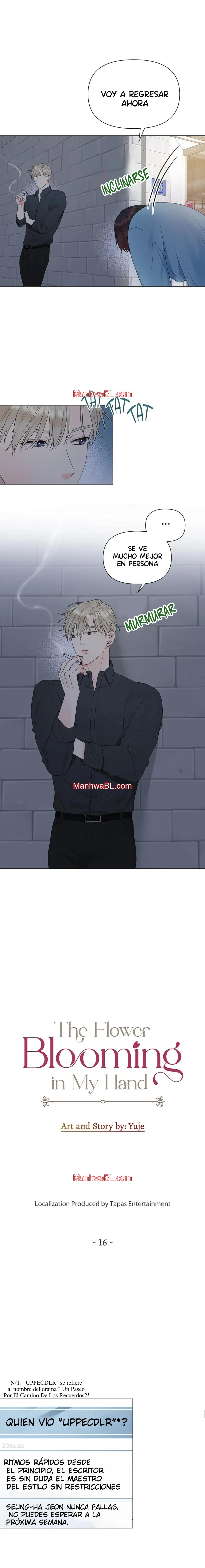 The Flower Blooming in My Hand - Capítulo 16 2 manhwa