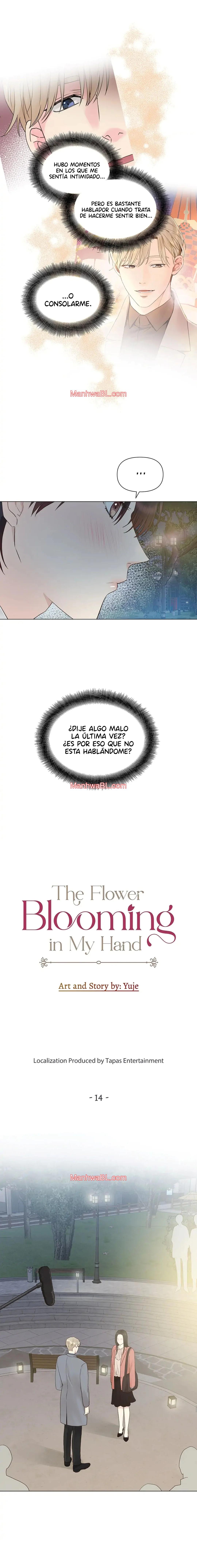 The Flower Blooming in My Hand - Capítulo 14 manhwa