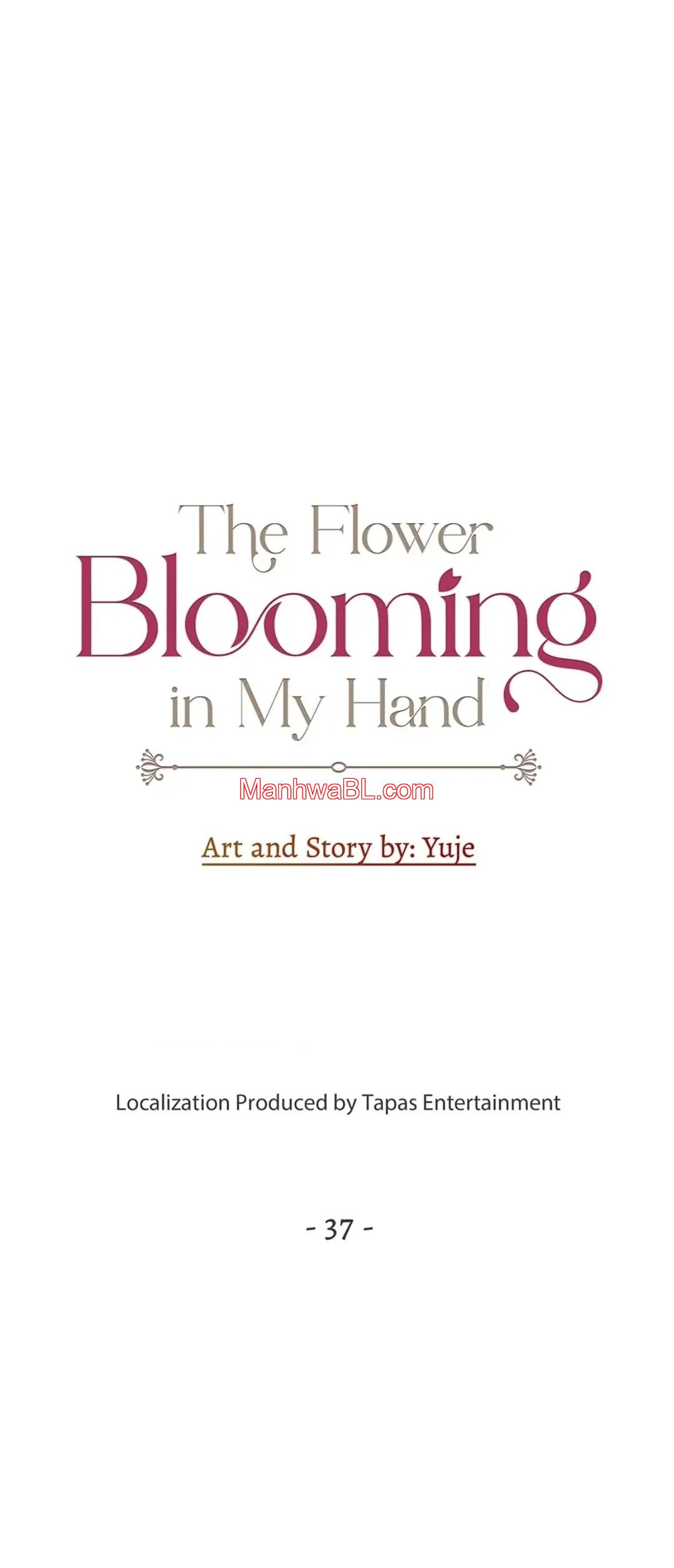 The Flower Blooming in My Hand - Capítulo 37 manhwa