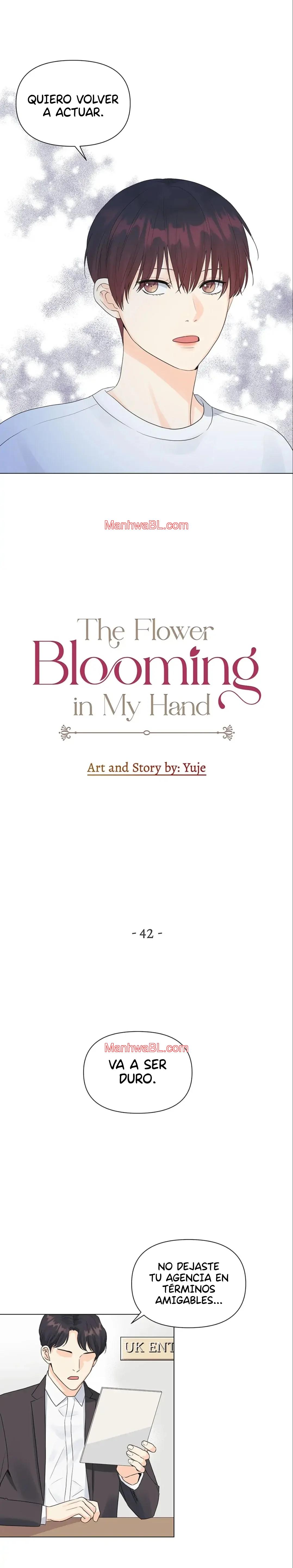 The Flower Blooming in My Hand - Capítulo 42 2 manhwa