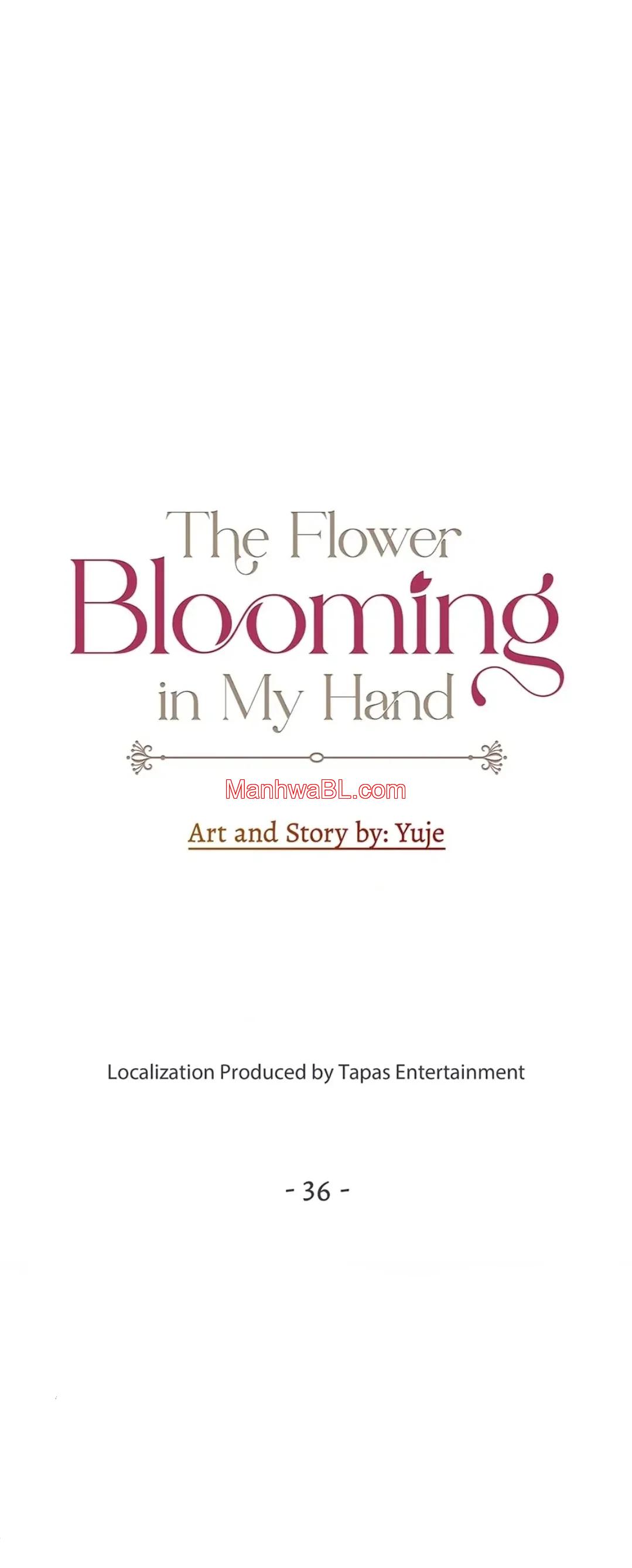 The Flower Blooming in My Hand - Capítulo 36 manhwa