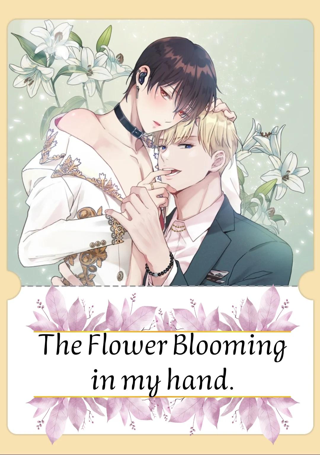 The Flower Blooming in My Hand - Capítulo 6 manhwa