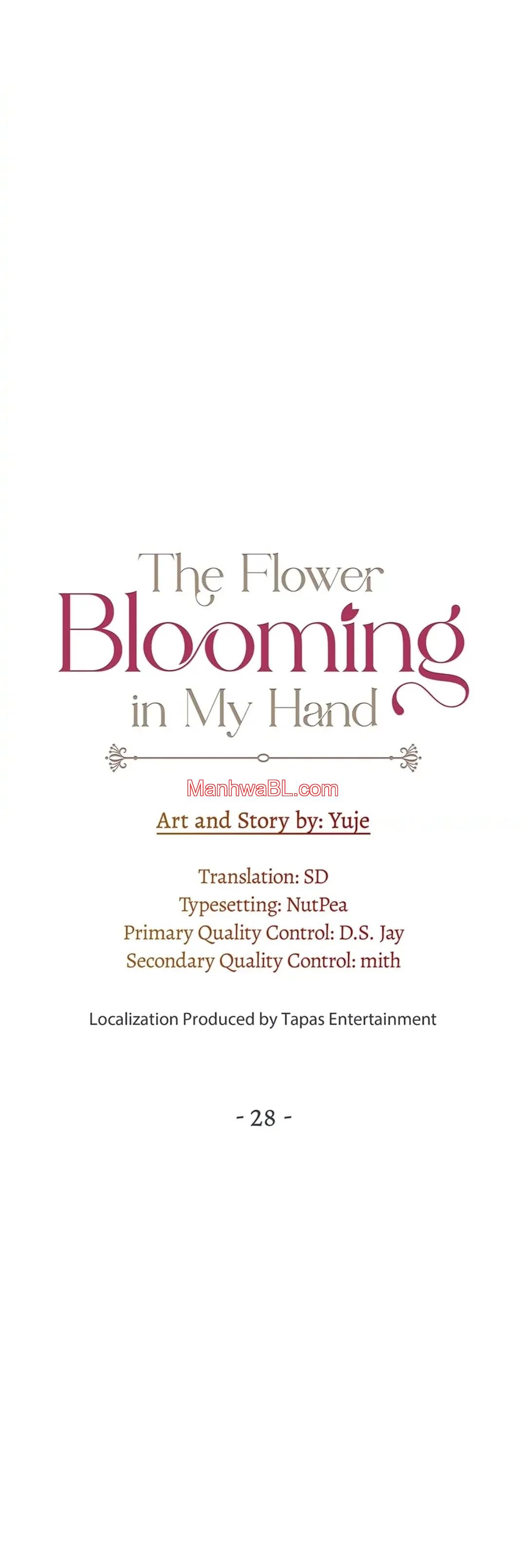 The Flower Blooming in My Hand - Capítulo 28 3 manhwa