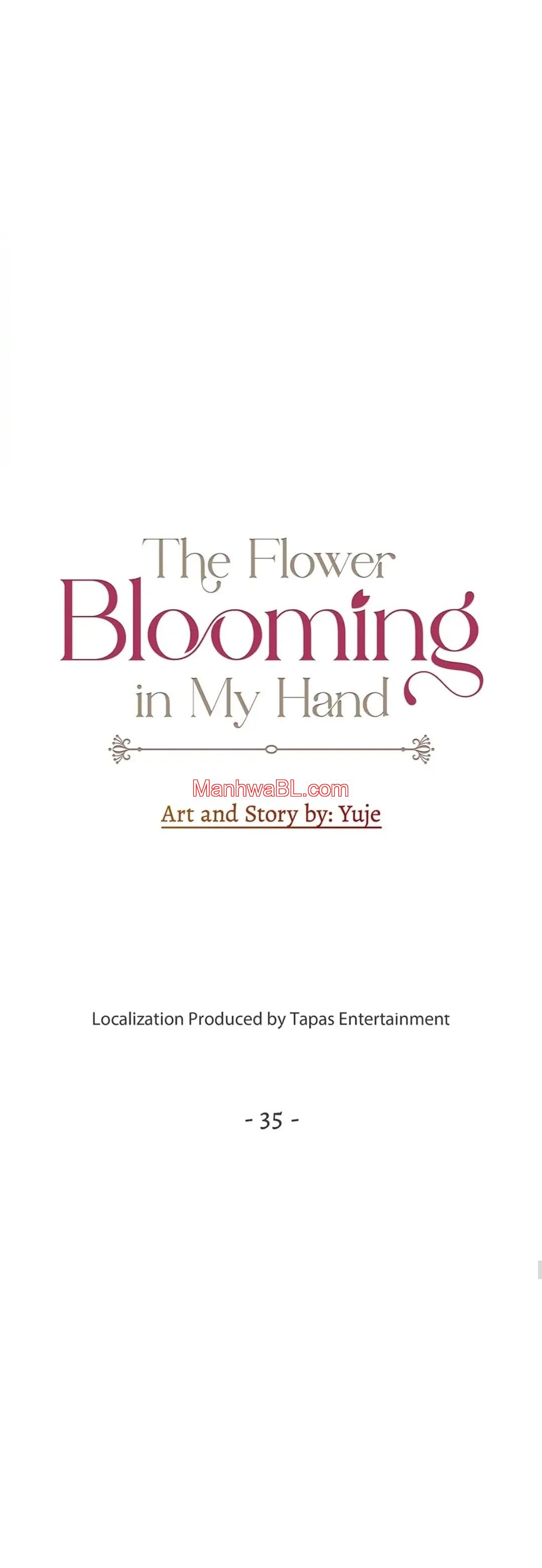The Flower Blooming in My Hand - Capítulo 35 manhwa