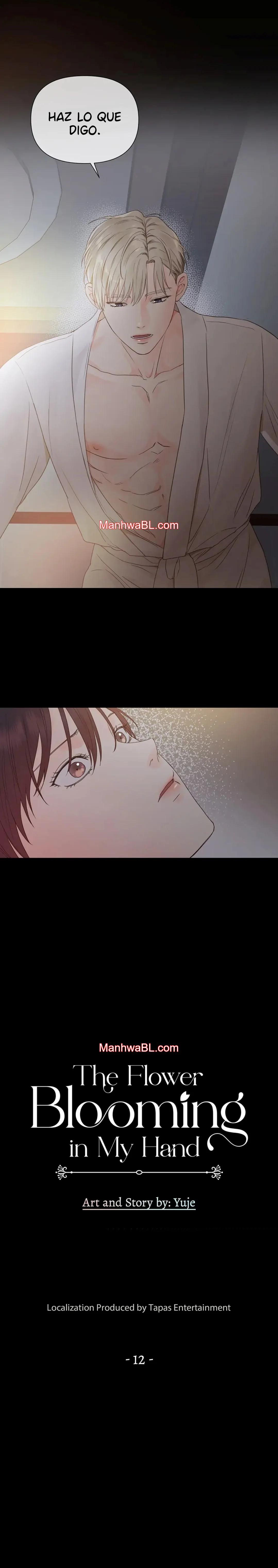 The Flower Blooming in My Hand - Capítulo 12 manhwa