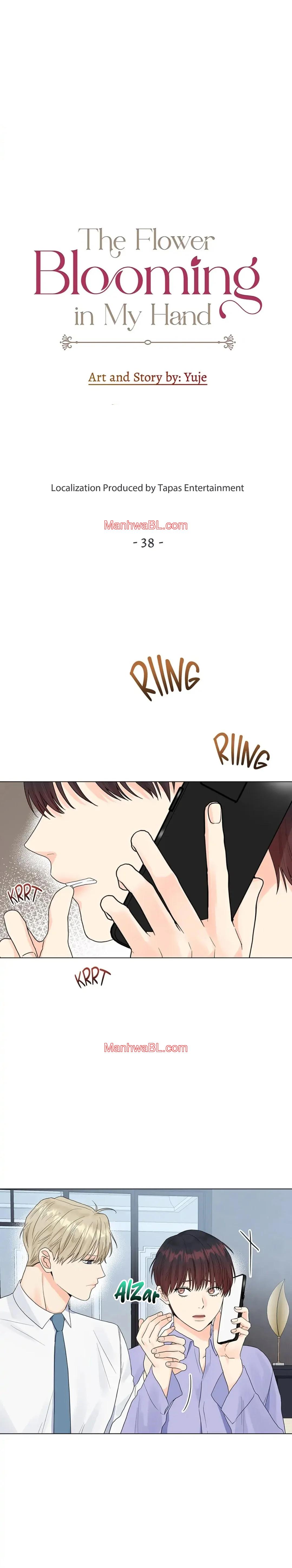 The Flower Blooming in My Hand - Capítulo 38 manhwa