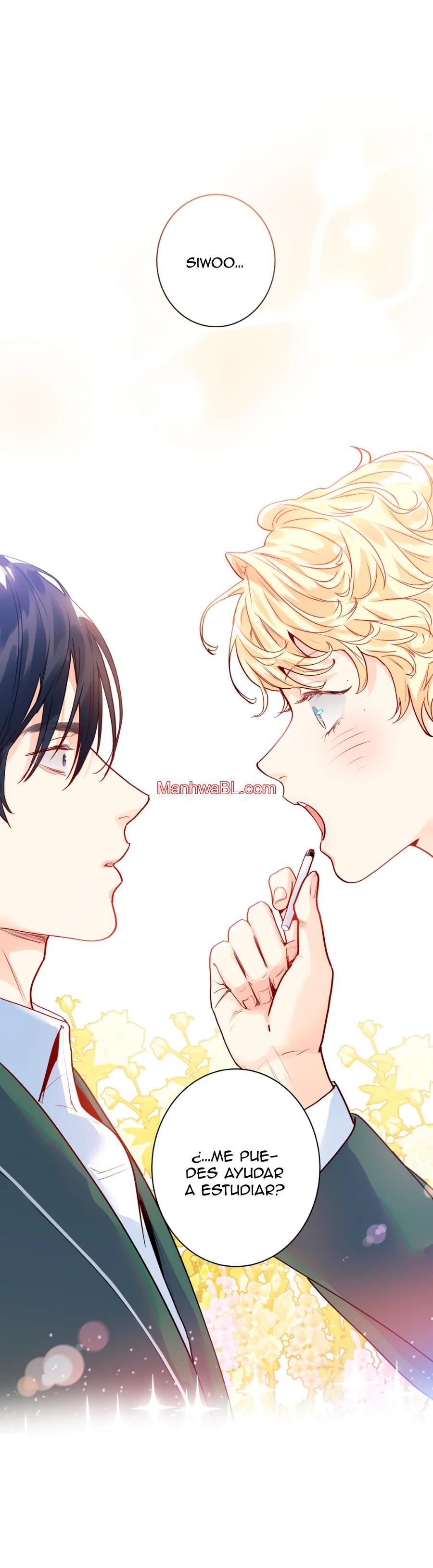 Love Is an Illusion! – Superstar - Capítulo 11 manhwa