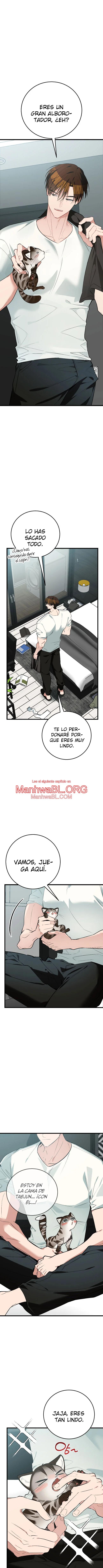 ​¡Dame un cachorro de gato montés, si no quieres verme enloquecer! - Capítulo 8 2 manhwa
