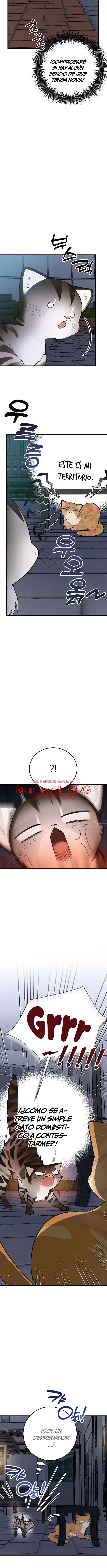 ​¡Dame un cachorro de gato montés, si no quieres verme enloquecer! - Capítulo 8 2 manhwa