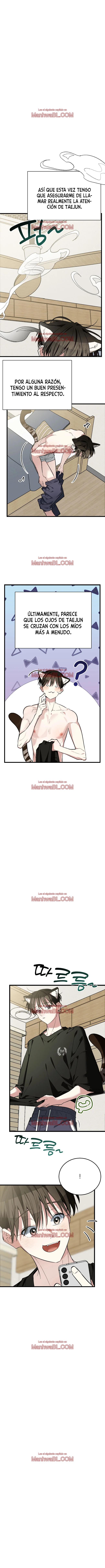 ¡Dame un cachorro de gato montés, si no quieres verme enloquecer! - Capítulo 9 2 manhwa