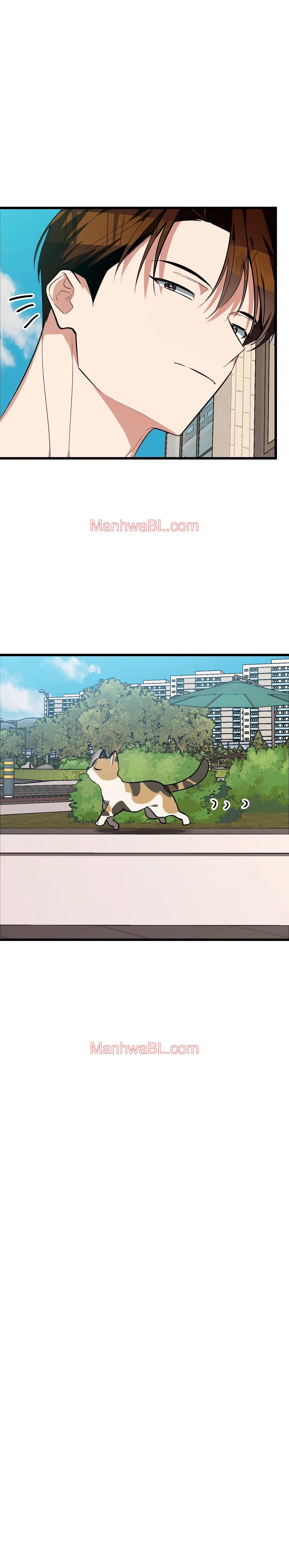 ¡Dame un cachorro de gato montés, si no quieres verme enloquecer! - Capítulo 6 manhwa