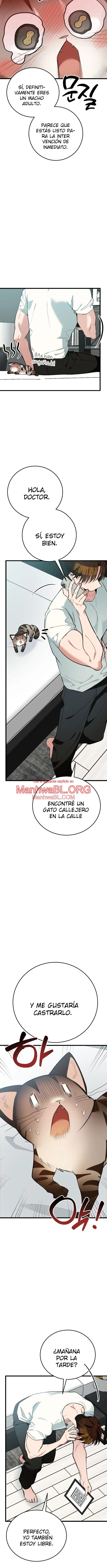 ​¡Dame un cachorro de gato montés, si no quieres verme enloquecer! - Capítulo 8 3 manhwa