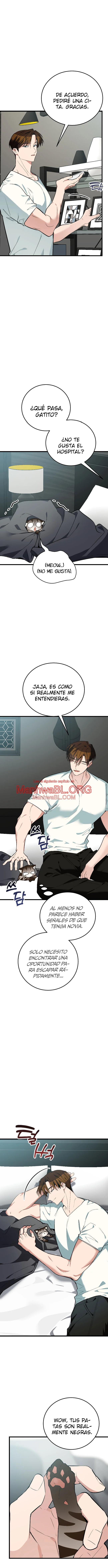 ​¡Dame un cachorro de gato montés, si no quieres verme enloquecer! - Capítulo 8 3 manhwa