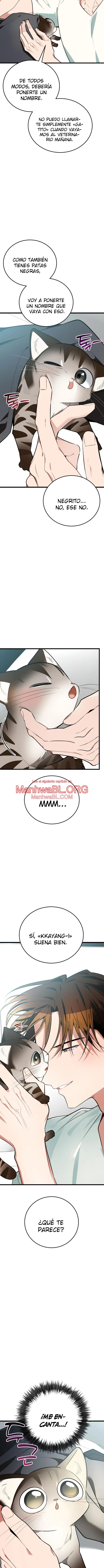 ​¡Dame un cachorro de gato montés, si no quieres verme enloquecer! - Capítulo 8 3 manhwa