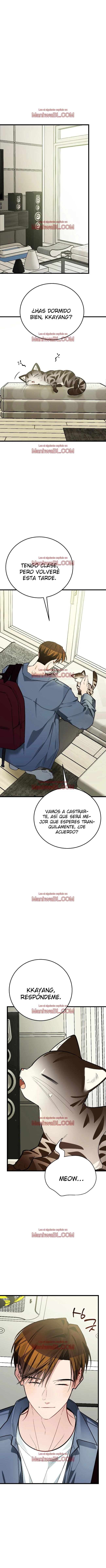 ¡Dame un cachorro de gato montés, si no quieres verme enloquecer! - Capítulo 9 manhwa