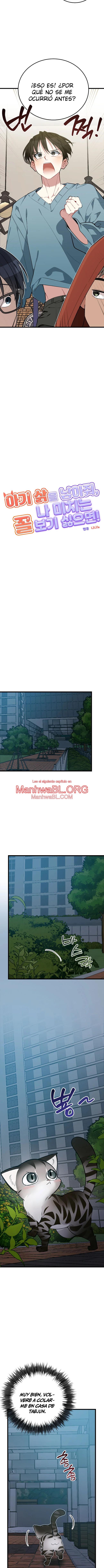 ​¡Dame un cachorro de gato montés, si no quieres verme enloquecer! - Capítulo 8 manhwa
