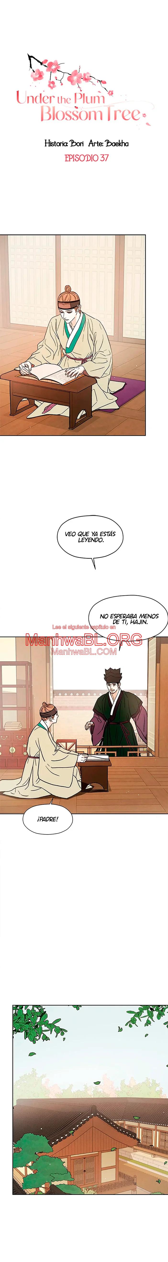 Under the Plum Blossom Tree - Capítulo 37 manhwa
