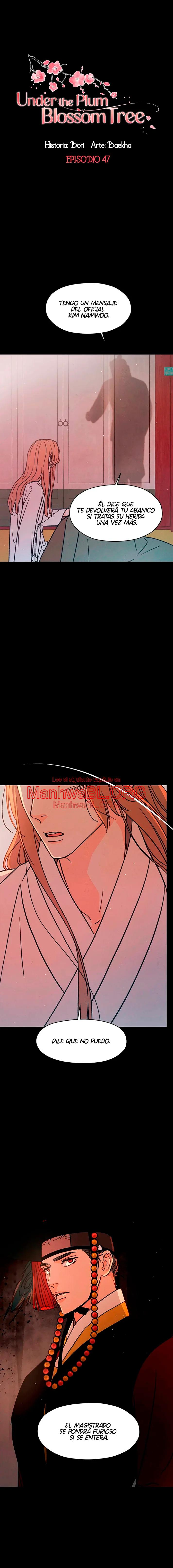Under the Plum Blossom Tree - Capítulo 47 manhwa