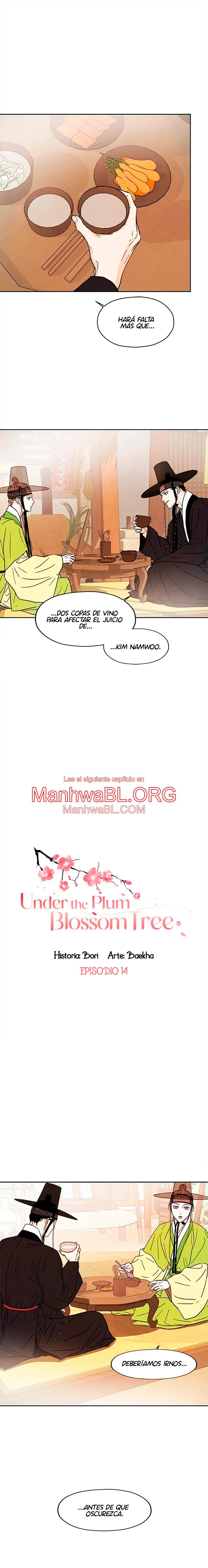 Under the Plum Blossom Tree - Capítulo 14 manhwa