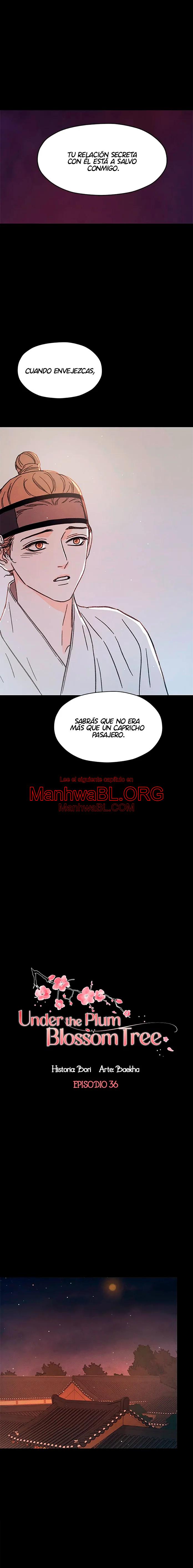 Under the Plum Blossom Tree - Capítulo 36 3 manhwa
