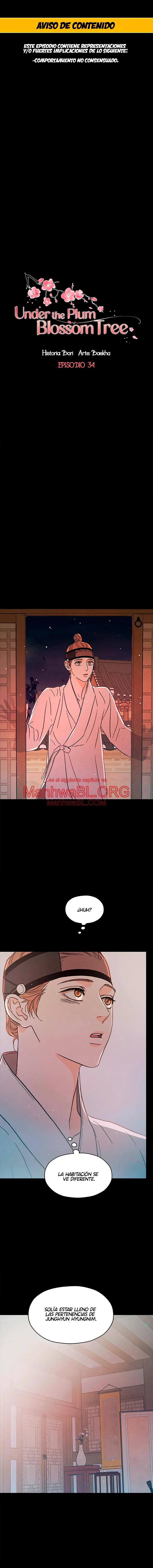 Under the Plum Blossom Tree - Capítulo 34 manhwa