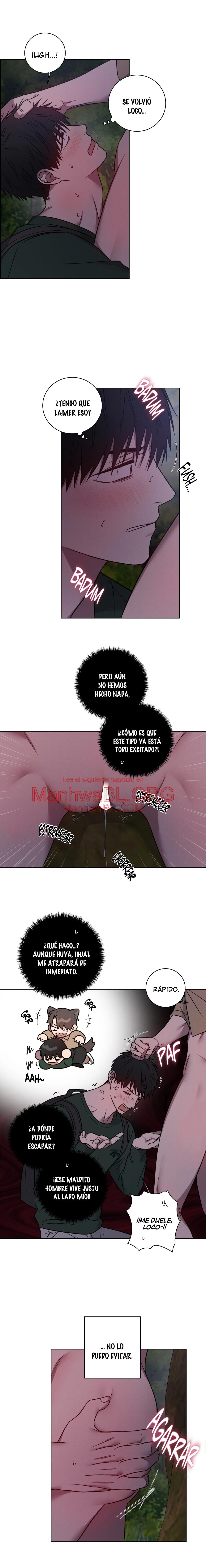 Mi polla ha desaparecido - Capítulo 12 manhwa