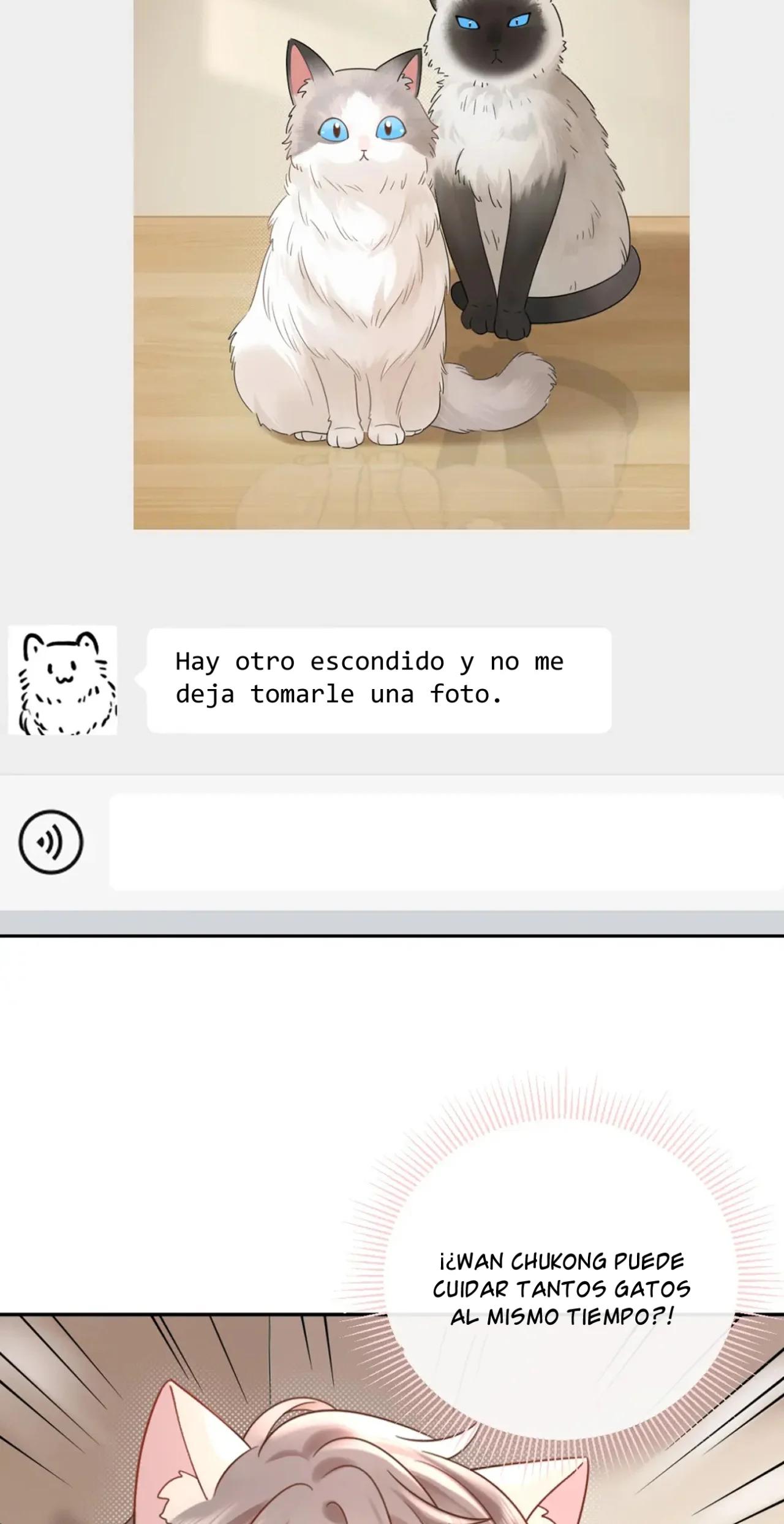 La Difusión De Rumores Esta Estrictamente Prohibida - Capítulo 5 3 manhwa
