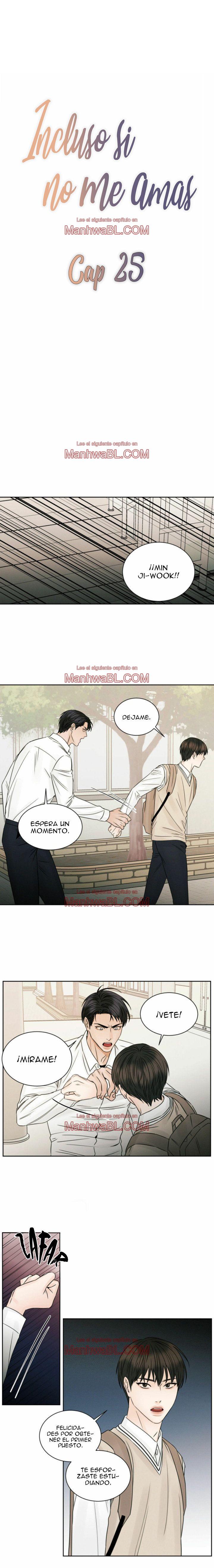 Sin importar el amor - Capítulo 25 manhwa