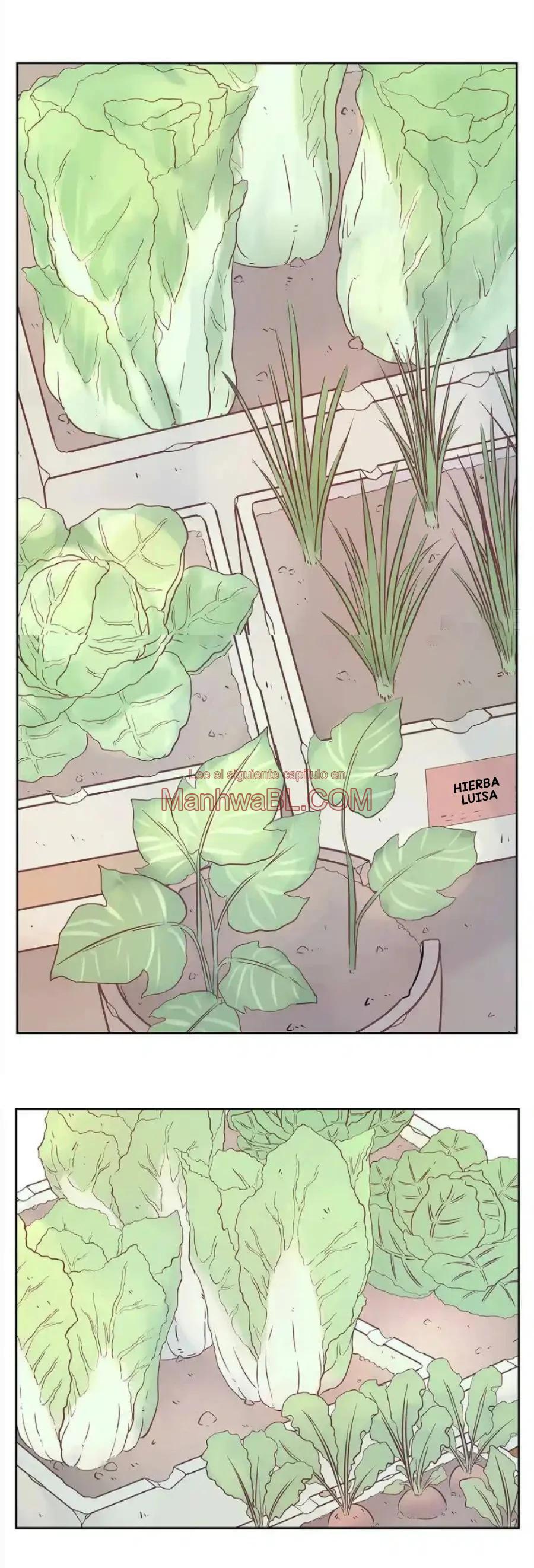 Amor accidentado - Capítulo 21 2 manhwa