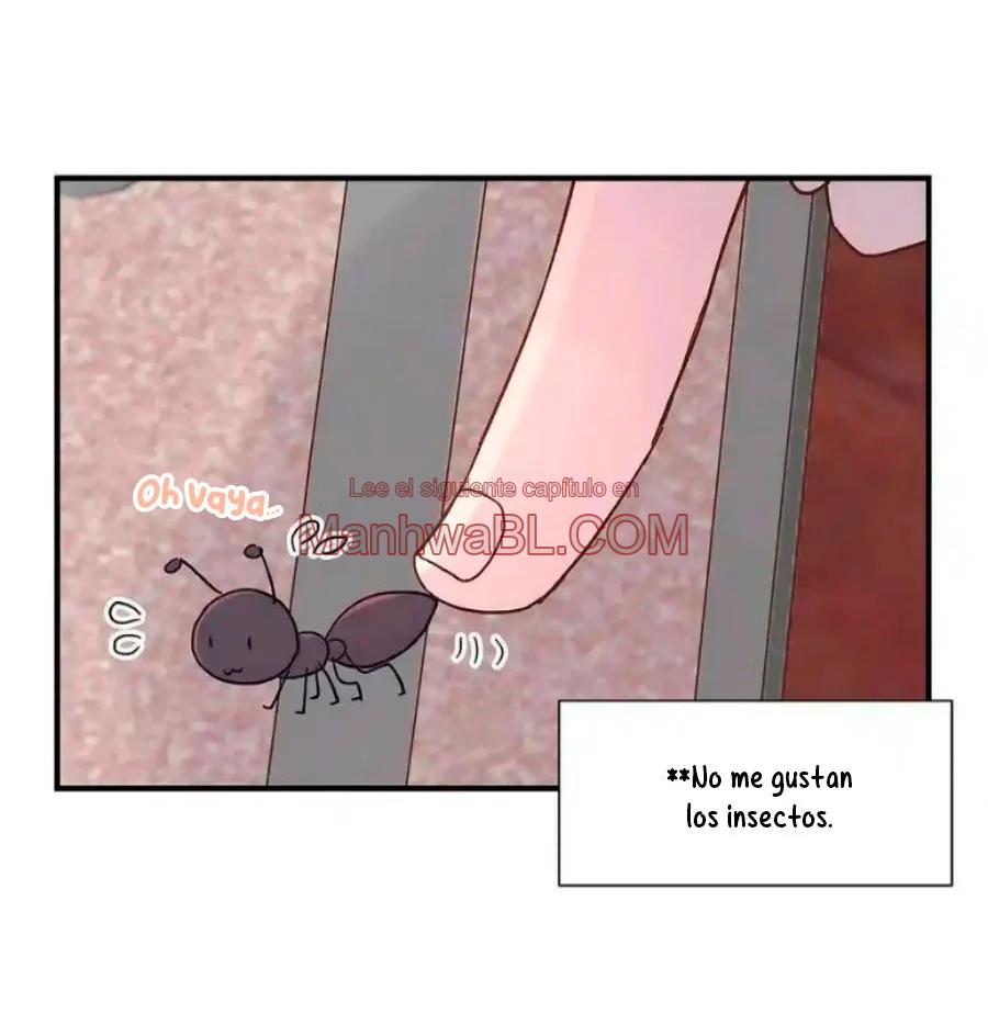 Amor accidentado - Capítulo 47 manhwa