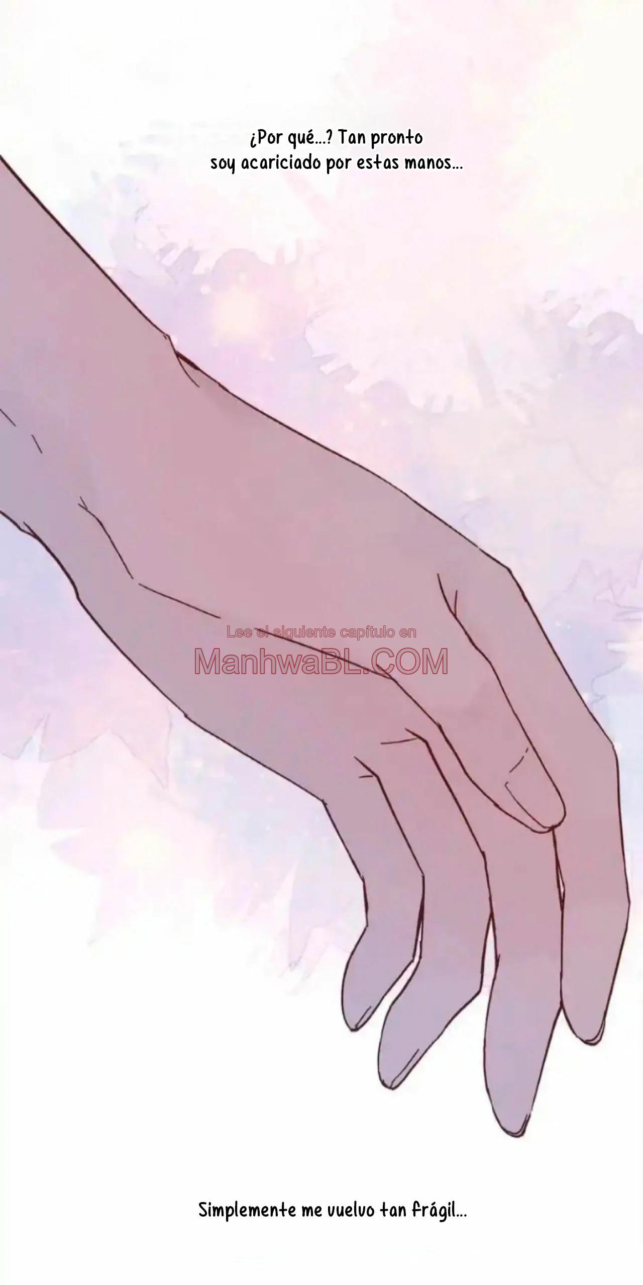 Amor accidentado - Capítulo 41 manhwa