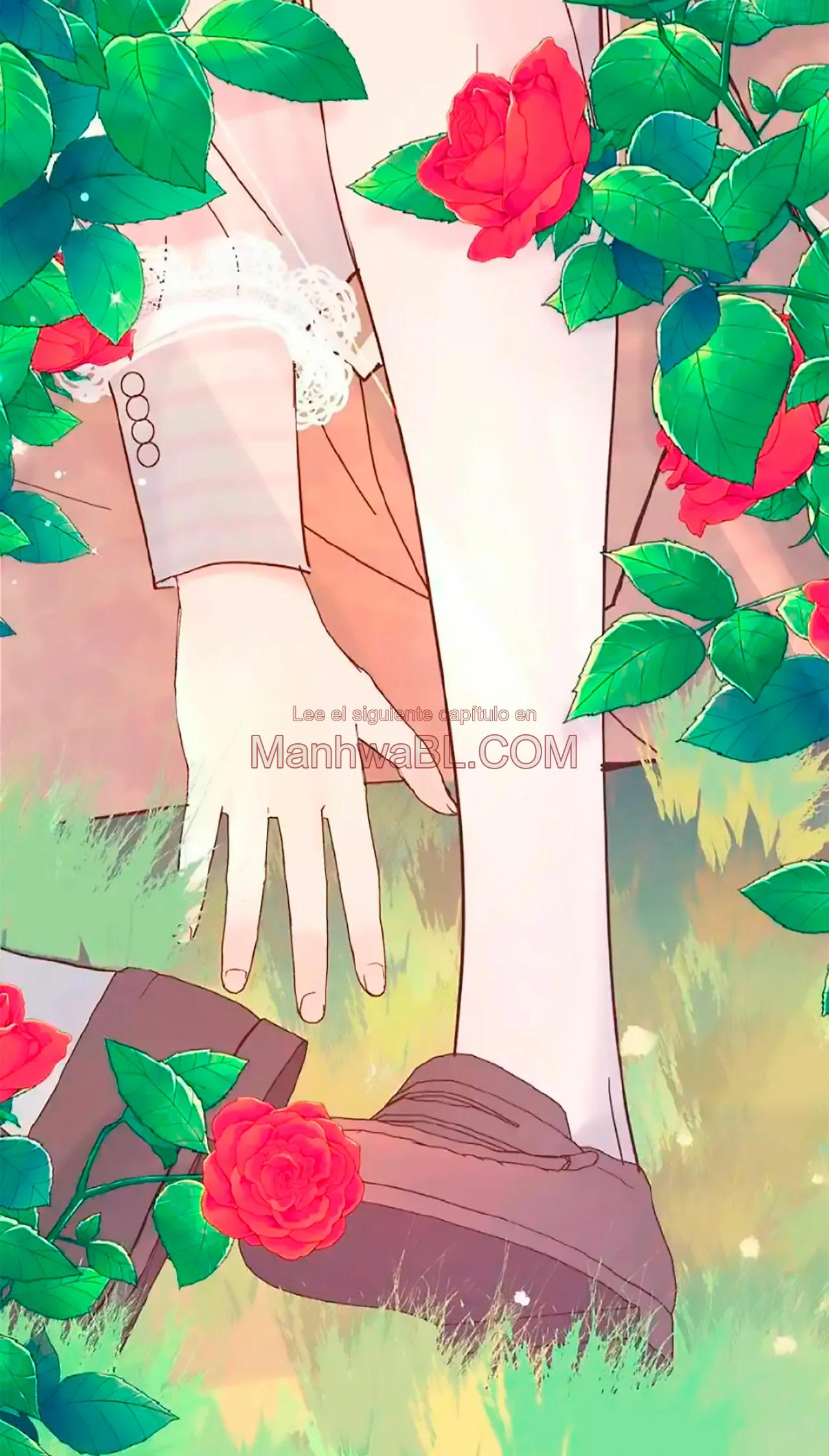 Amor accidentado - Capítulo 43 manhwa