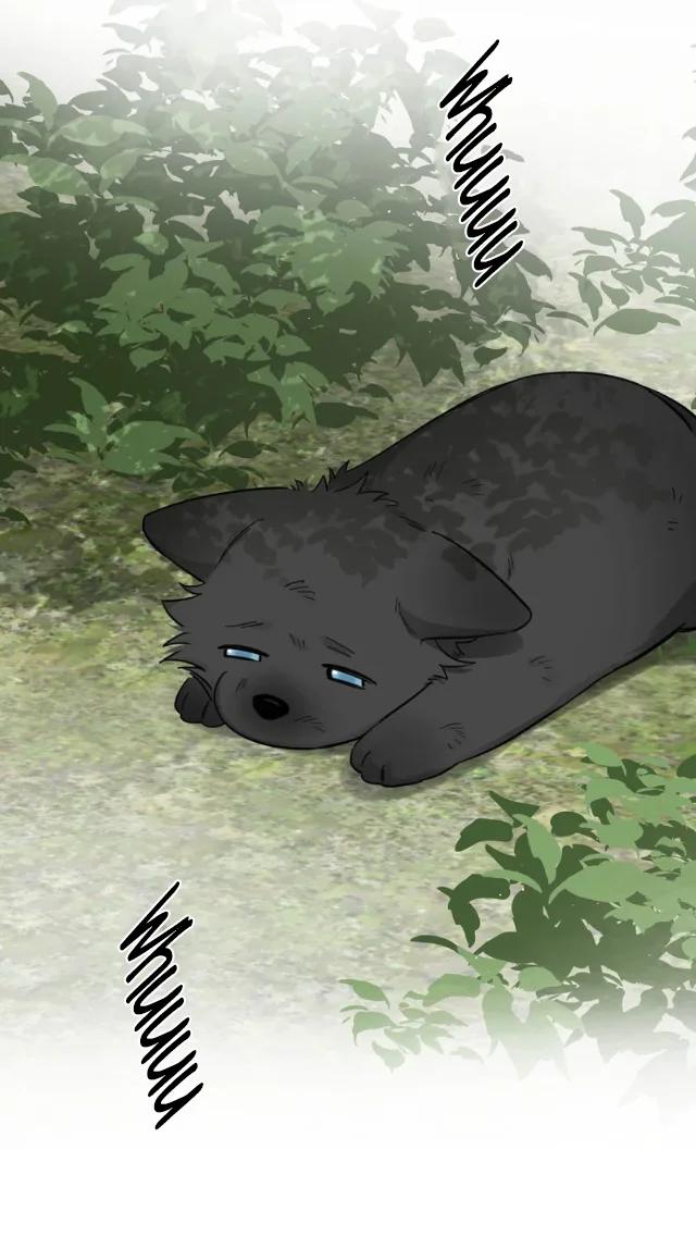 Reclamado por un lobo - Capítulo 15 manhwa