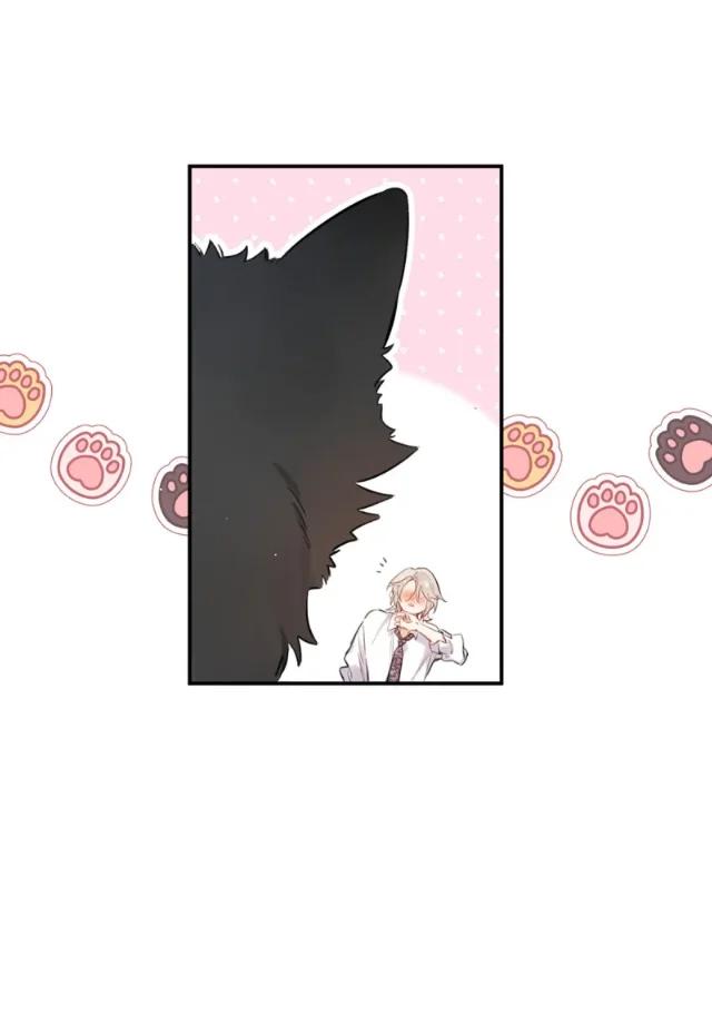 Reclamado por un lobo - Capítulo 1 manhwa